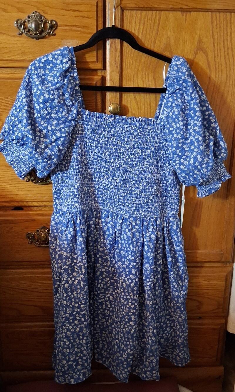 Hyacinth House Tuckernuck Blue Ditsy Floral Pai Mini Dress Smoocked bodice Large